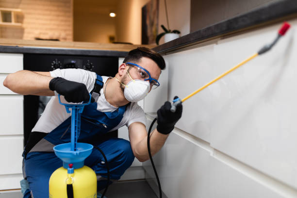 Best Pest Control Near Me  in Hennessey, OK