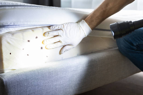 Best Affordable Pest Control Services  in Hennessey, OK