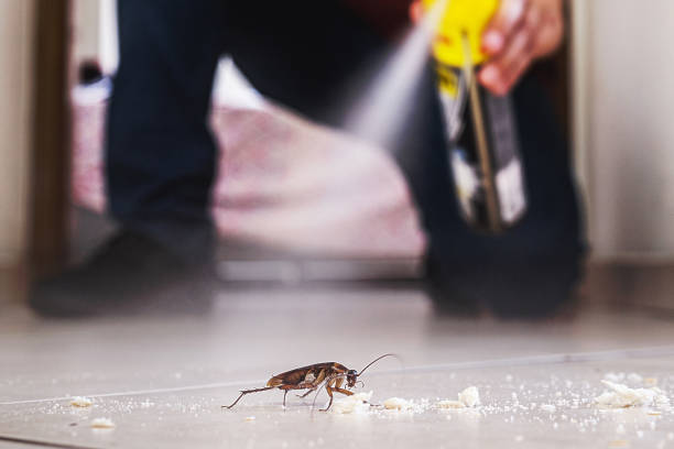 Best Best Pest Control Companies  in Hennessey, OK