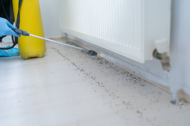 Best Best Pest Control Companies  in Hennessey, OK