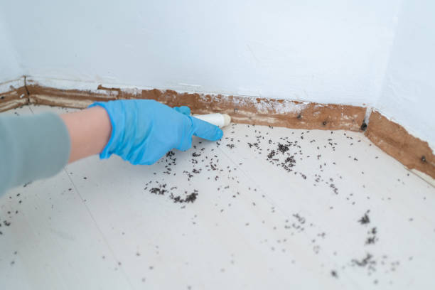 Best Commercial Pest Control Services  in Hennessey, OK